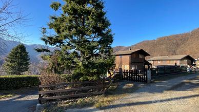 Chalet  tra i boschi