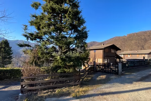 Chalet  tra i boschi