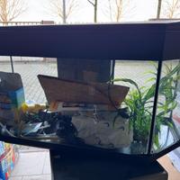 Acquario 80 Lt.