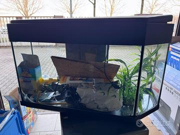 Acquario 80 Lt.