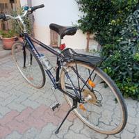 Bici da uomo