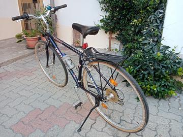 Bici da uomo