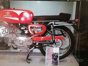 Sella Benelli Motobi Sport Special