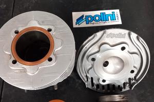polini evolution  vespa 50 special