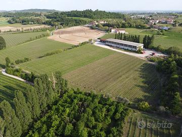 Venesi capannone più area edificabile