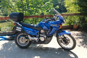 transalp 