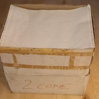 Carta per stampante ad aghi modulo continuo