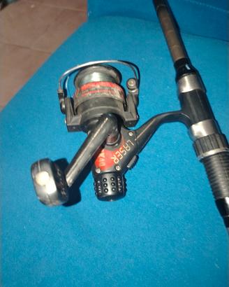 canna magnum   4.20m
