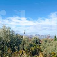 Terreno Agricolo Santa Maria di Licodia