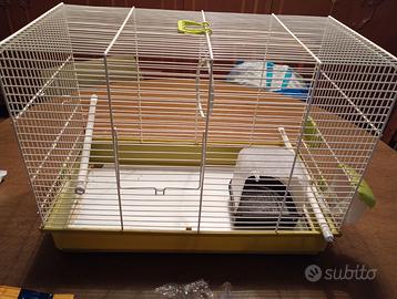 Gabbia per volatili