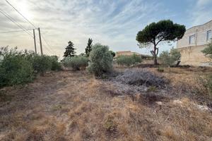 Terreno in c/da Amabilina con pozzo e ulivi