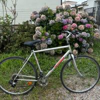 Bici da uomo Legnano in alluminio
