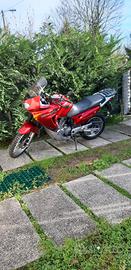 Honda transalp 650 del 2000