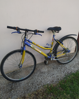 Montanbike MTB