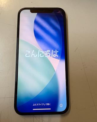 iPhone 12 256 GB