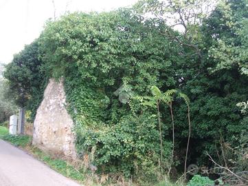 RUSTICO A PIEDIMONTE SAN GERMANO