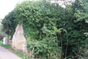 RUSTICO A PIEDIMONTE SAN GERMANO
