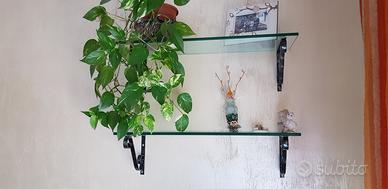 mensole in cristallo porta mensole ferro battut