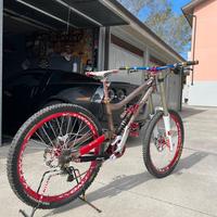 Bici downhill sunn radical