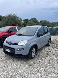 FIAT Panda 1.0 FireFly 70cv S&S Hybrid