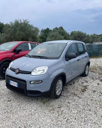 FIAT Panda 1.0 FireFly 70cv S&S Hybrid