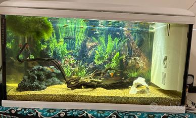 Acquario 110lt