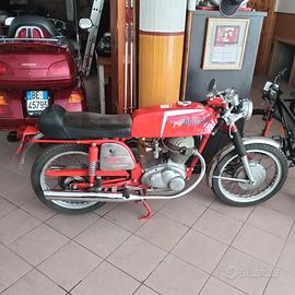 MV Agusta Altro modello - 1972