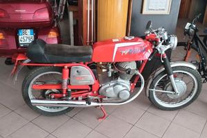 MV Agusta Altro modello - 1972