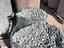 Immagine 13