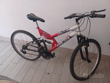 bicicletta