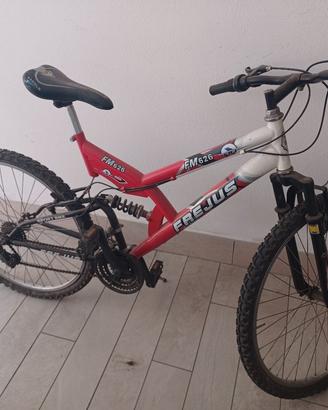 bicicletta