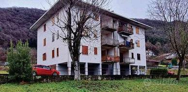 Albino - Rif. 481/2024 U BG