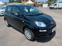 fiat-panda-1-0-firefly-s-s-hybrid-5-posti