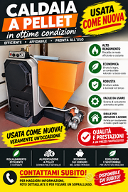 🔥 CALDAIA A BIOMASSA – USATA COME NUOVA