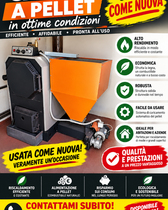 🔥 CALDAIA A BIOMASSA – USATA COME NUOVA