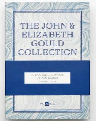 Artwork Jhon and Elizabeth Oro Aurum
