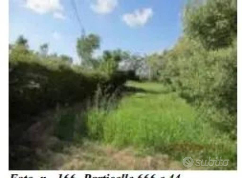 Immobile in asta di 1540 m² a Lamezia Terme - Vista 3