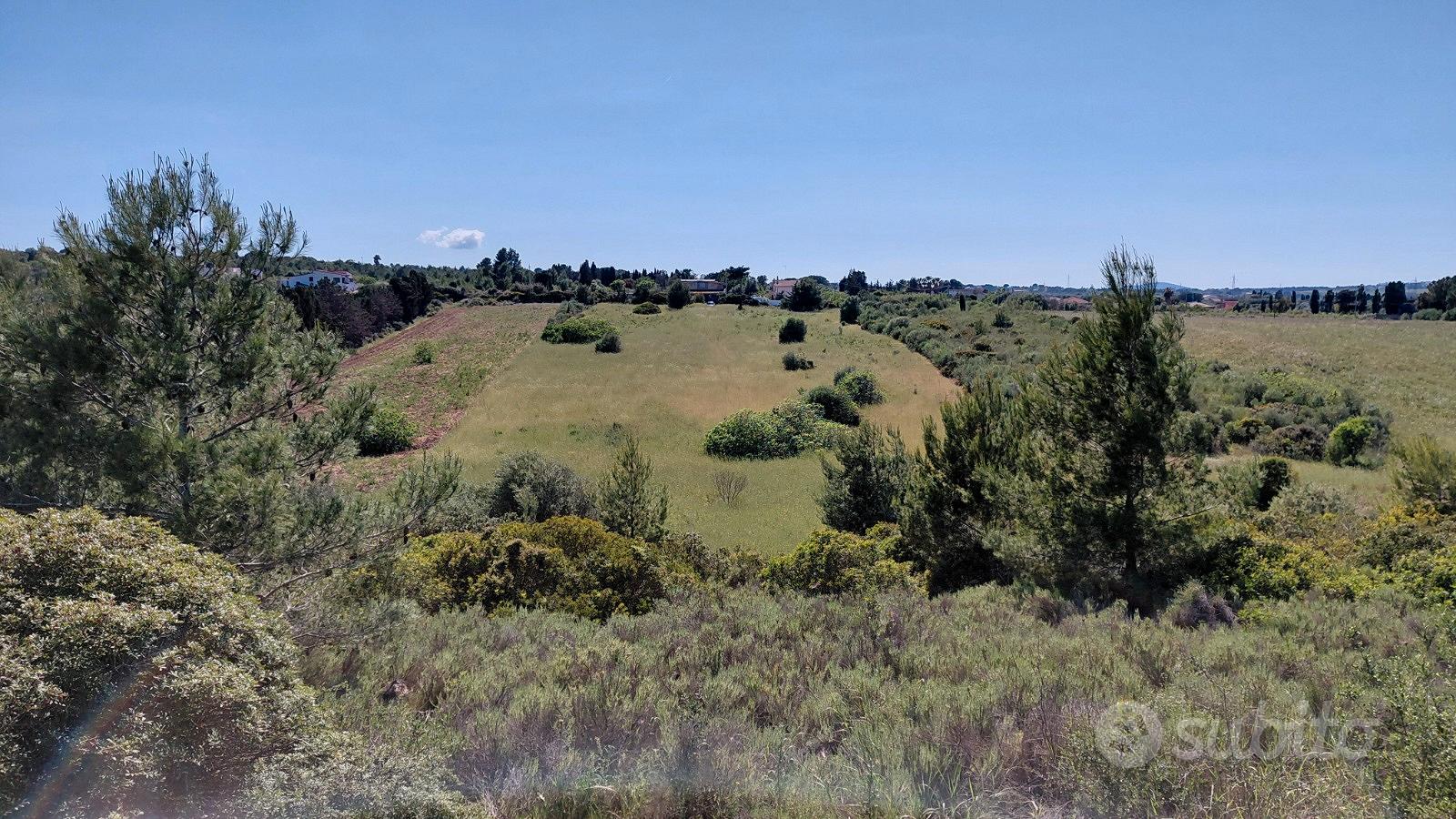 Terreno baddelonga russeglia - sassari - Vista 3