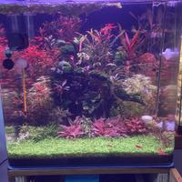 Nanotank 90 + aqpet sunlight 45