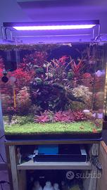 Nanotank 90 + aqpet sunlight 45