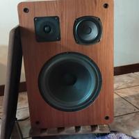 Golden Voice 253 Export