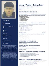 Aiuto Cuoco/Personale di cucina Extra