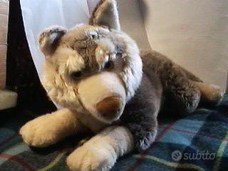 5 Peluche NUOVI:grandeHusky,Gufo,Coniglio,Cucciolo
