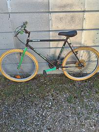 MOUNTAIN-BIKE A POCHI DENARI