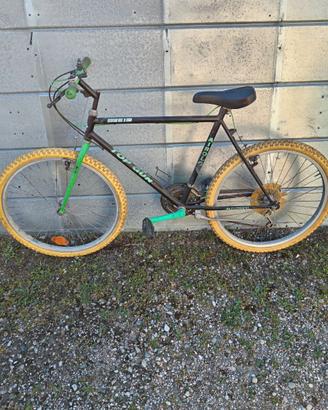 MOUNTAIN-BIKE A POCHI DENARI