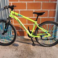 Mountain bike Rock rider 