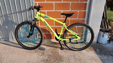 Mountain bike Rock rider 