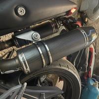 Terminali sc project ducati monster