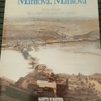 Mantova Mantova 
