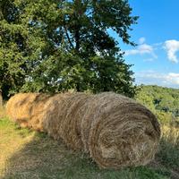 Fieno per Animali (rotoli)